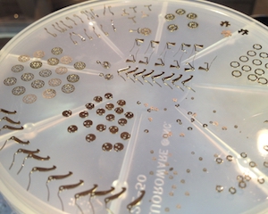 Collection of different watch-components